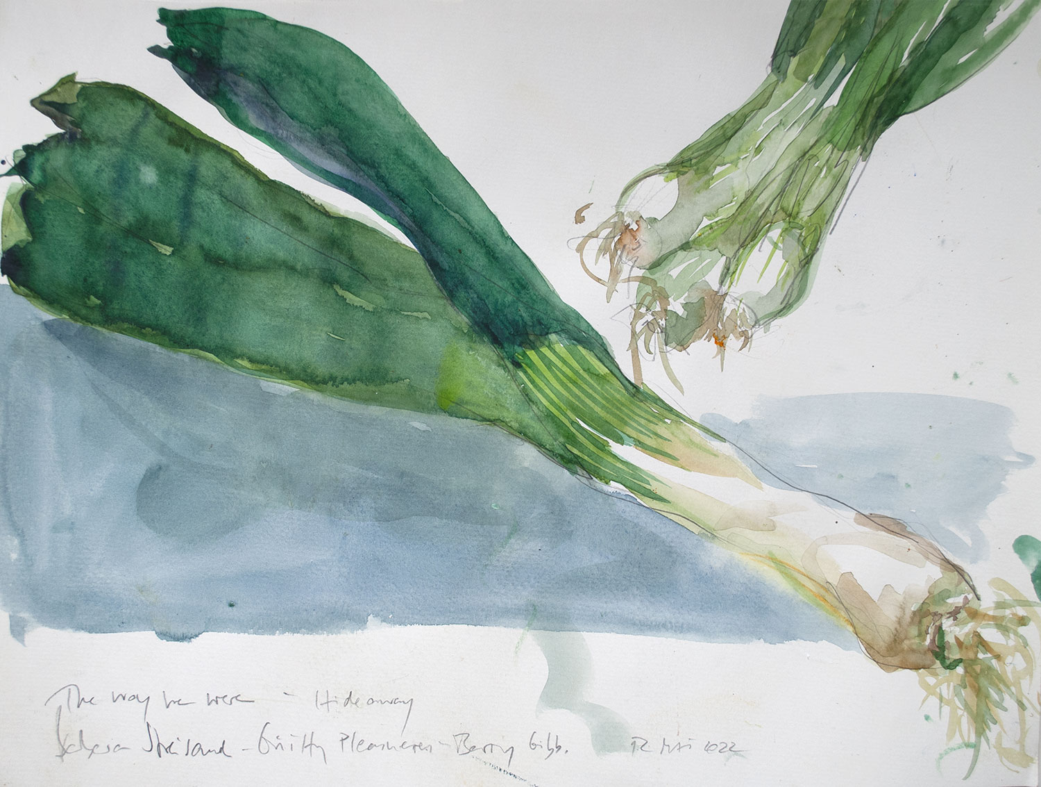 "Porreestange Babs" · A2 · Aquarell · 2022