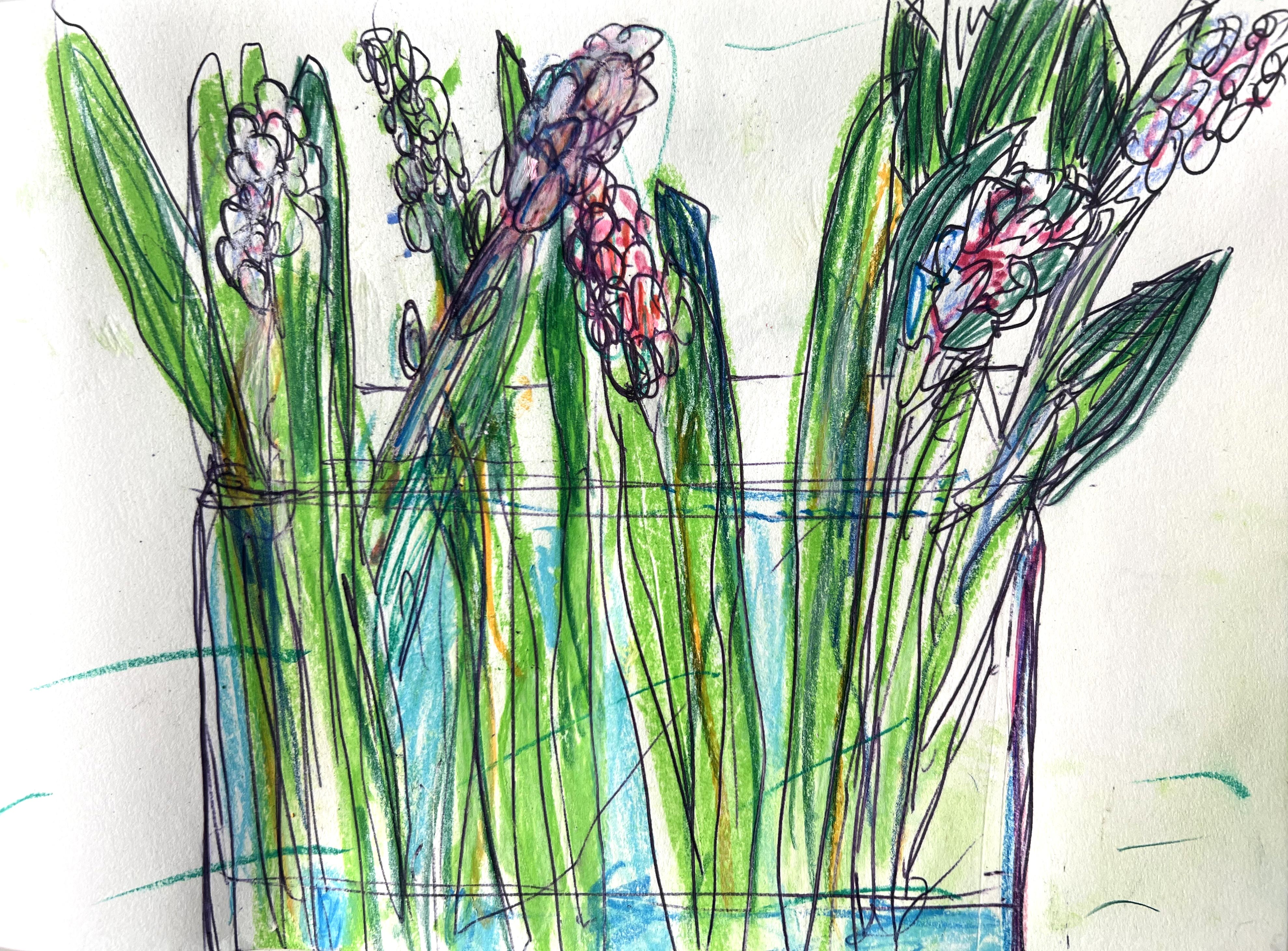 "Hortensienknospen" · 22 x 40 · Aquarellstift/Kuli · 2022