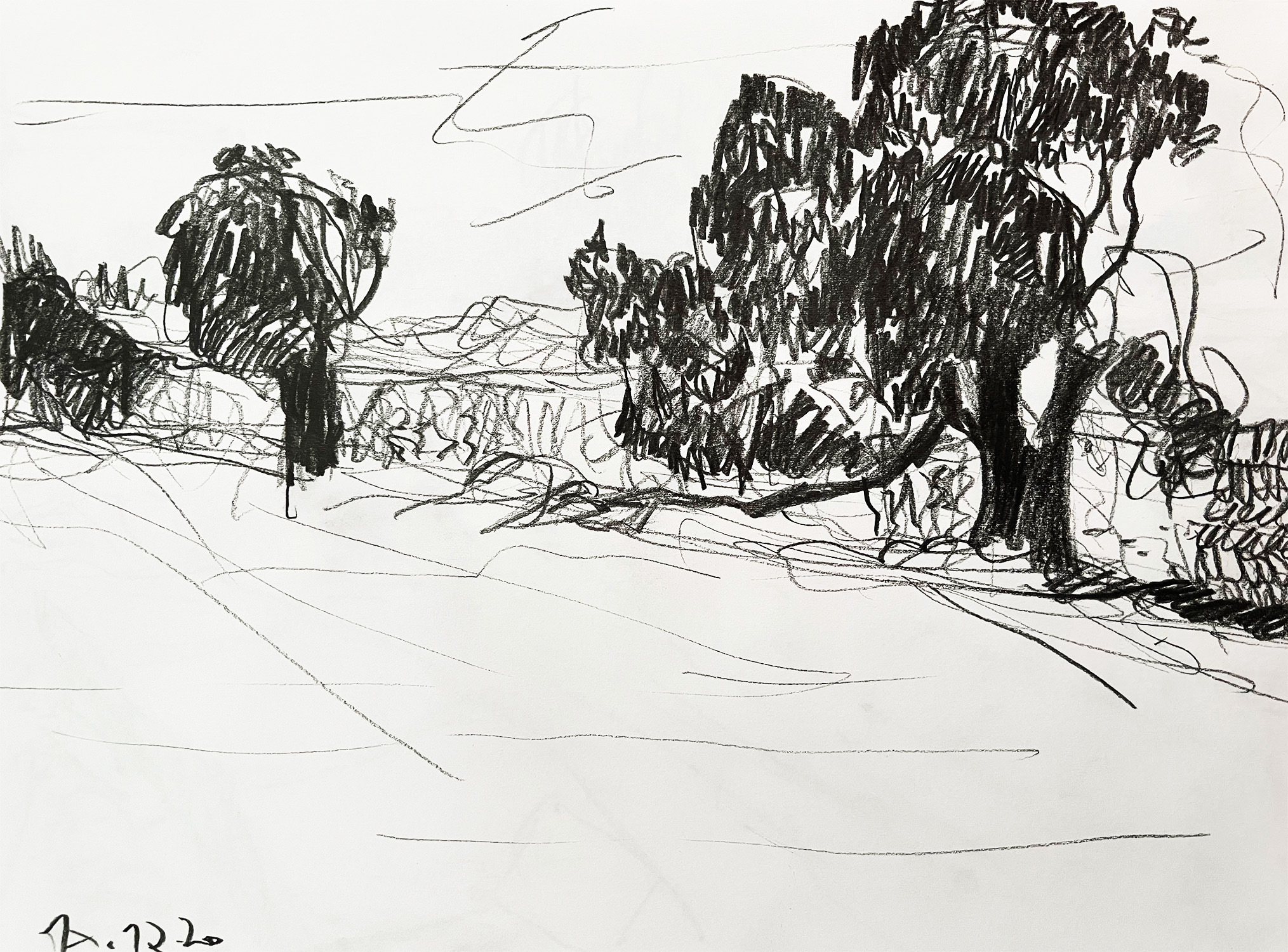 "Johannisbrotbäume" · A3 · Graphit · 2020